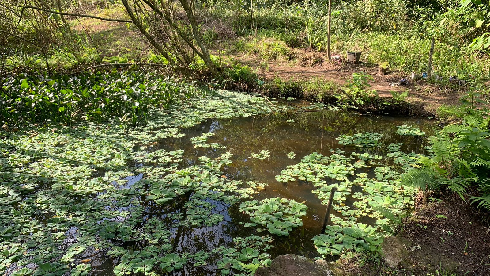 Imagem Terreno à Venda, 17.850 m² em Realengo - Rio de Janeiro