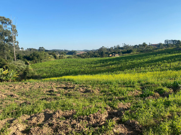 Imagem Terreno à Venda, 500 m² em Verava - Ibiúna