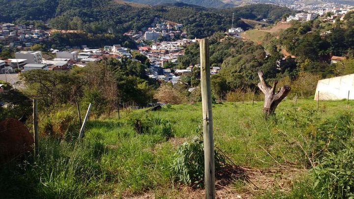 Terreno à Venda, 739 m² em Condomínio Alto Dos Pinheiros - Juiz De Fora