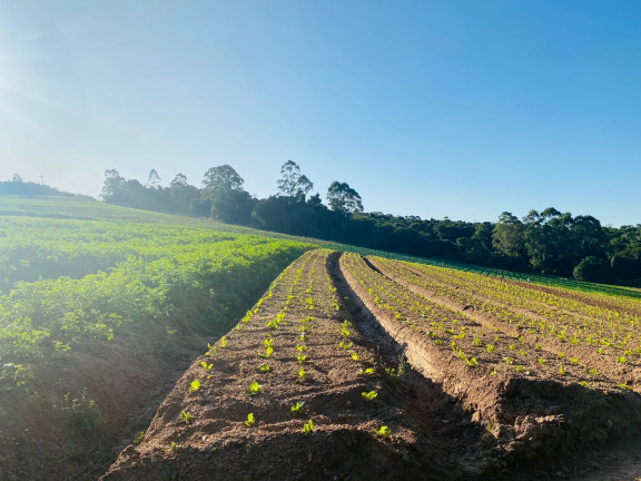 Imagem Terreno à Venda, 1.000 m² em Jardim Primavera - Salto de Pirapora Imagem Terreno à Venda, 1.000 m² em Jardim Primavera - Salto de Pirapora
