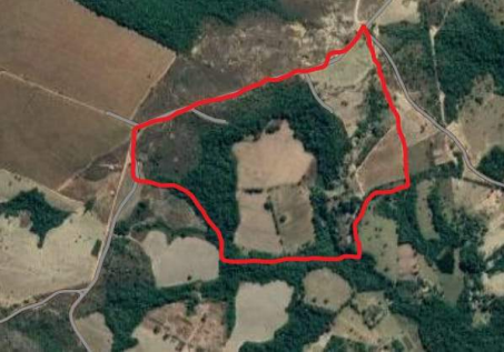 Imagem Fazenda à Venda, 8 Alq GOem Zona Rural - Silvânia