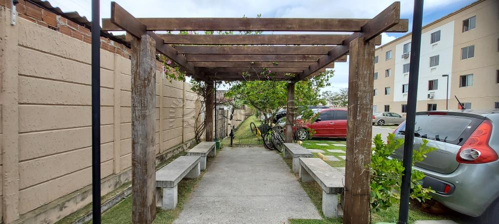 Imagem Apartamento com 2 Quartos à Venda, 42 m²em Barra de Jangada - Jaboatão dos Guararapes Imagem Apartamento com 2 Quartos à Venda, 42 m²em Barra de Jangada - Jaboatão dos Guararapes