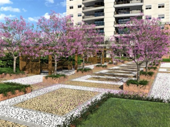 Imagem Apartamento com 3 Quartos para Alugar,  em Bosque da Saúde - São Paulo
