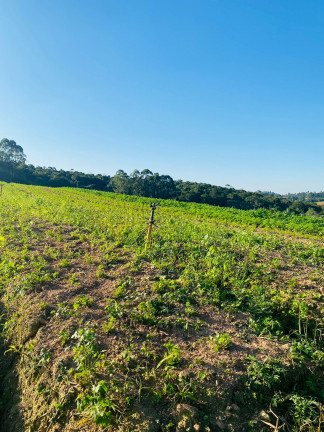Imagem Terreno em Condomínio à Venda, 1.000 m² em Verava - Ibiúna Imagem Terreno em Condomínio à Venda, 1.000 m² em Verava - Ibiúna
