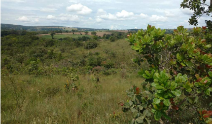 Imagem Fazenda à Venda, 8 Alq GOem Zona Rural - Silvânia