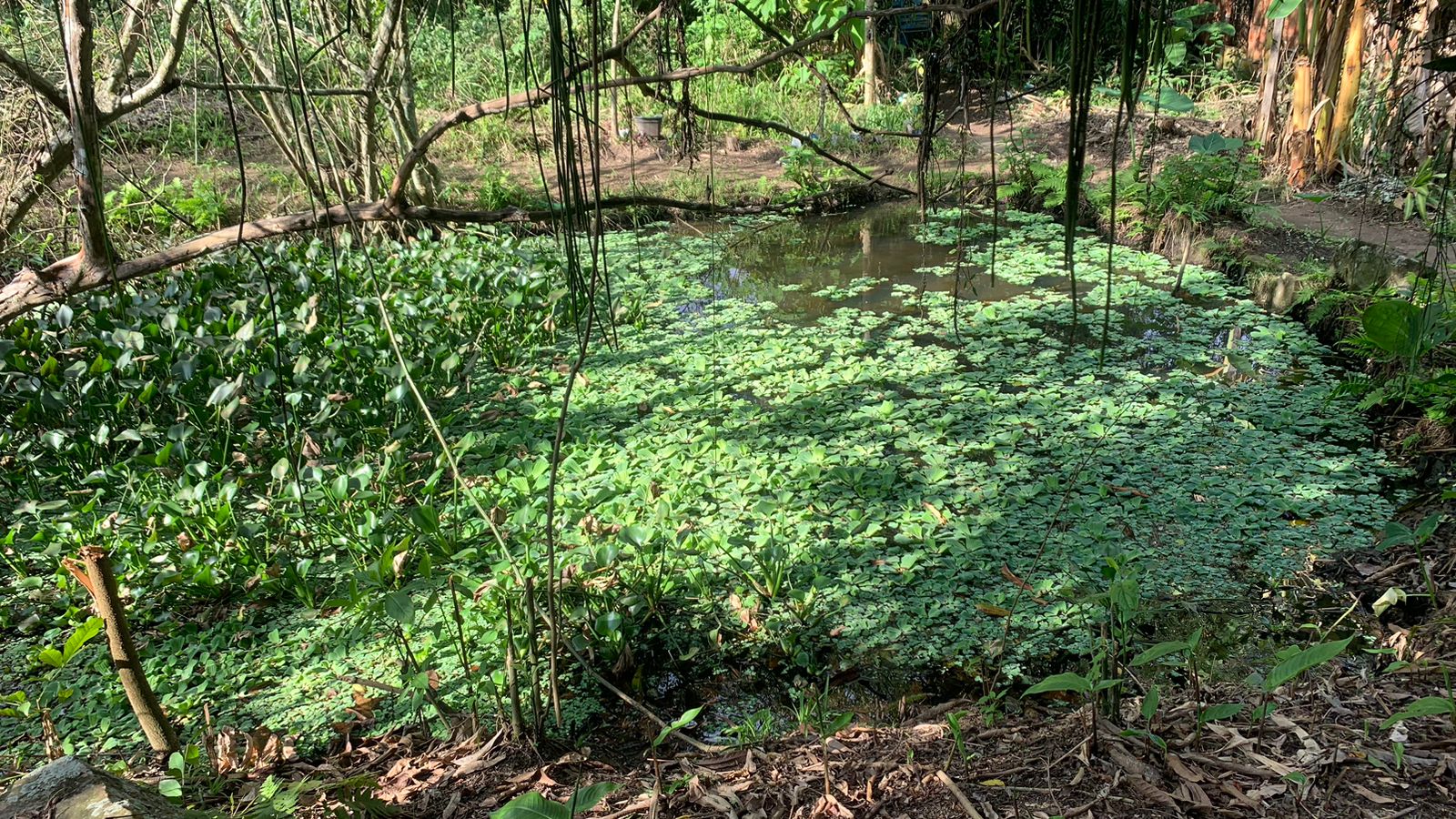 Imagem Terreno à Venda, 17.850 m² em Realengo - Rio de Janeiro