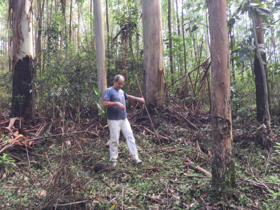 Imagem Terreno à Venda, 123.000 m² em Zona Rural - Santa Bárbara do Tugúrio Imagem Terreno à Venda, 123.000 m² em Zona Rural - Santa Bárbara do Tugúrio