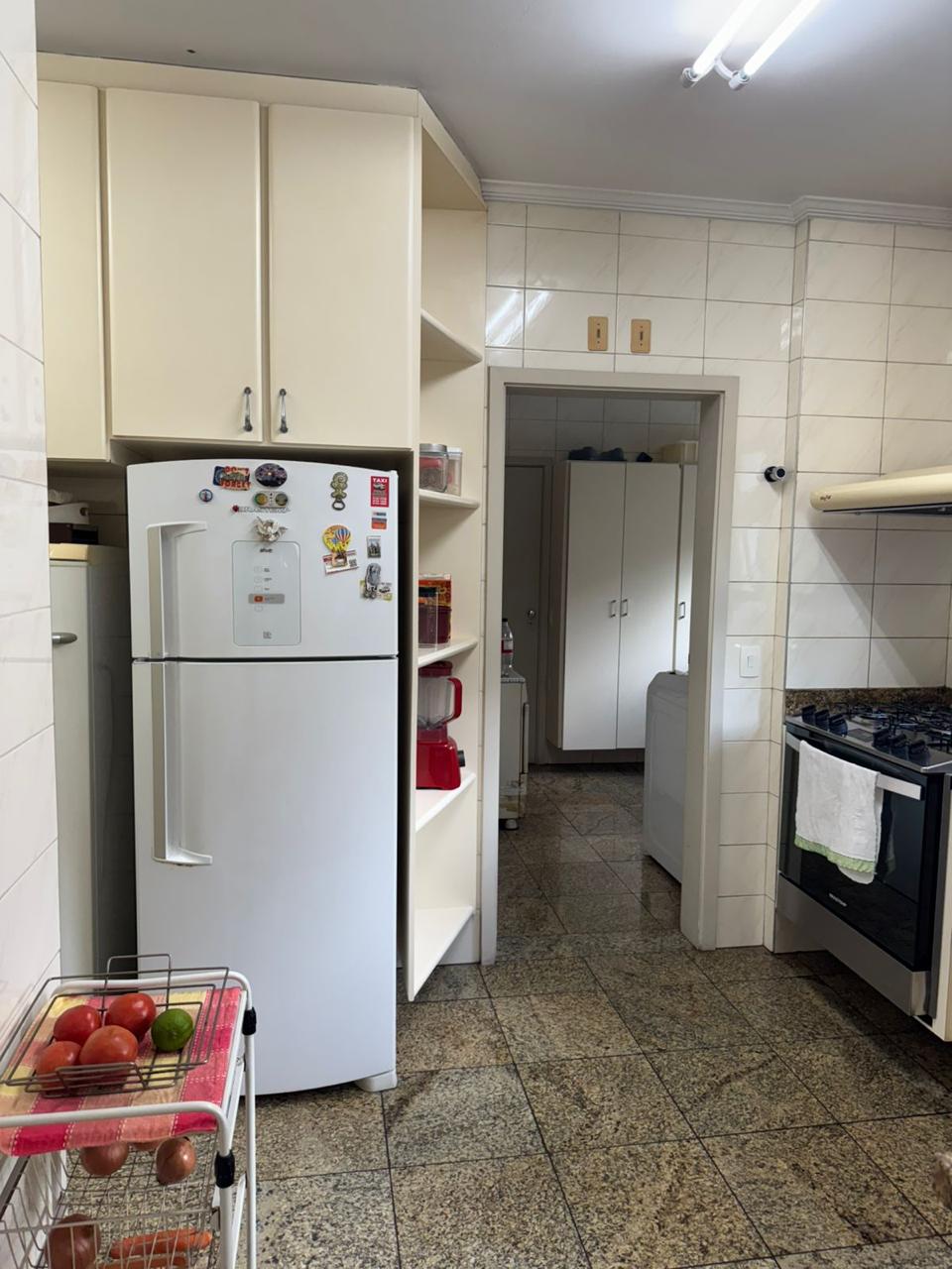 Imagem Apartamento com 3 Quartos à Venda ou Locação, 247 m² em Vila Suzana - São Paulo