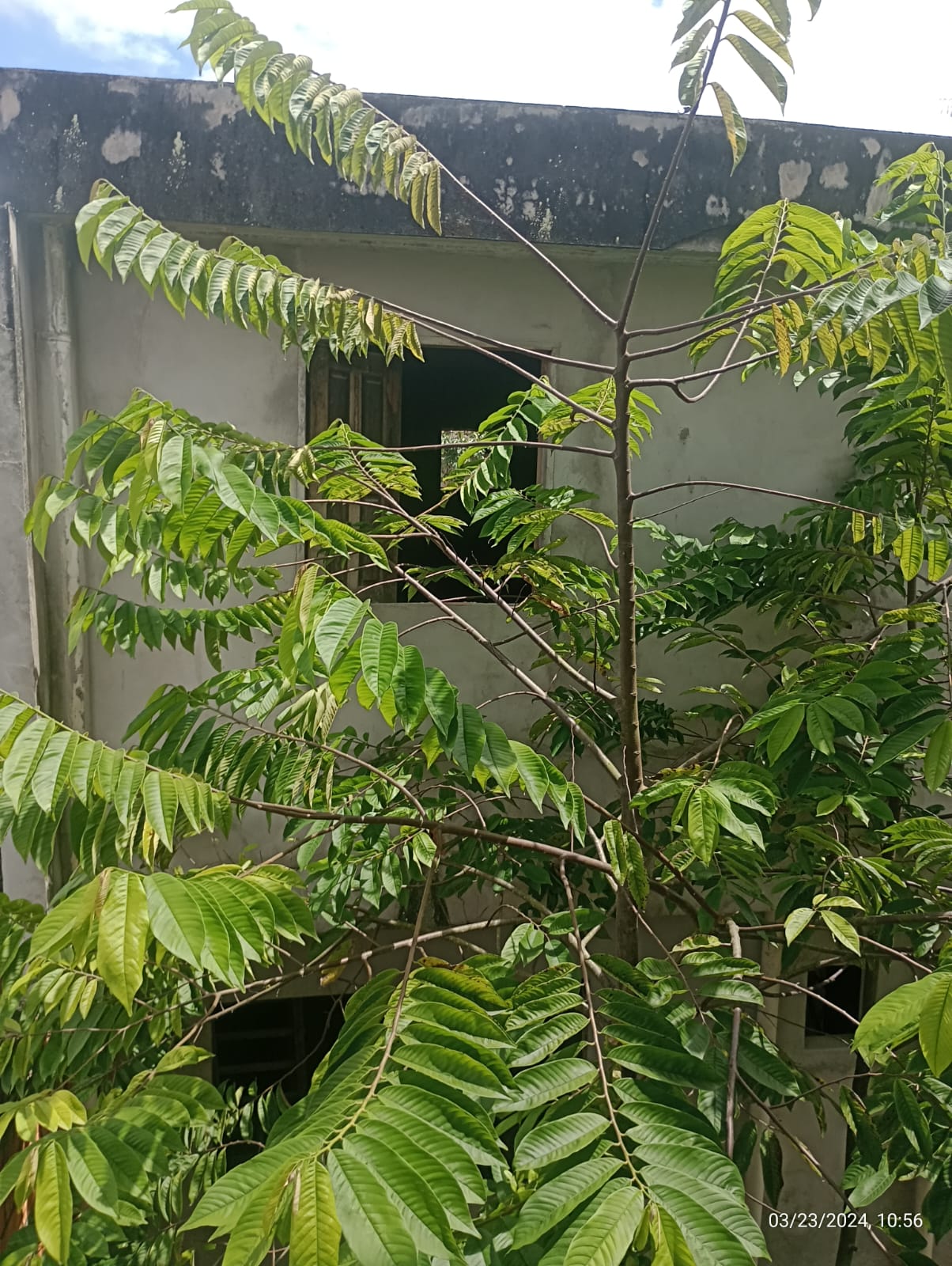 Imagem Casa com 5 Quartos à Venda, 362 m²em Parque Guajará (Icoaraci) - Belém Imagem Casa com 5 Quartos à Venda, 362 m²em Parque Guajará (Icoaraci) - Belém