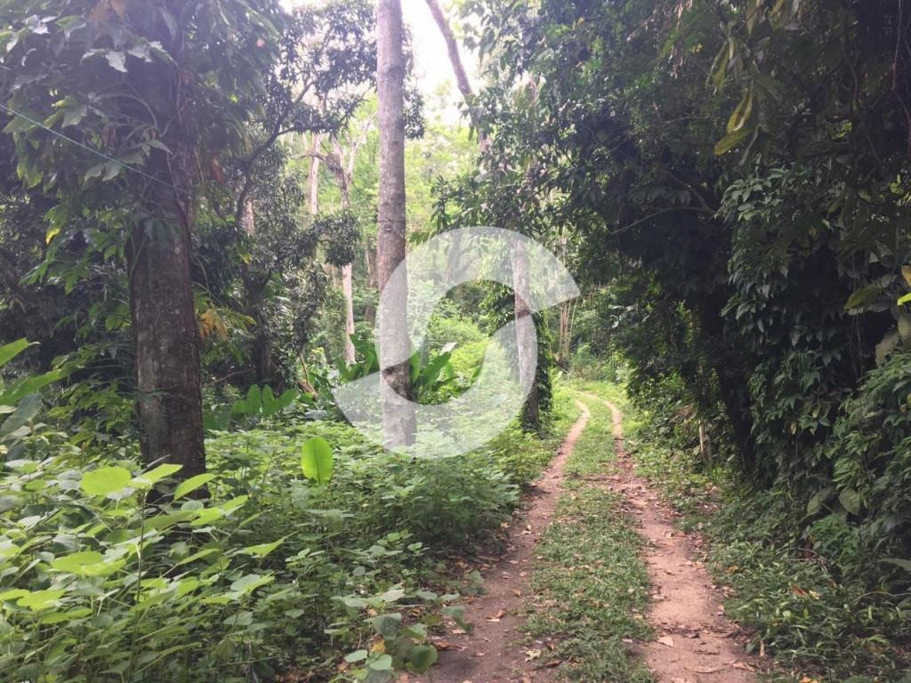Imagem Imóvel à Venda, 16.000 m² em Várzea das Moças - Niterói Imagem Imóvel à Venda, 16.000 m² em Várzea das Moças - Niterói