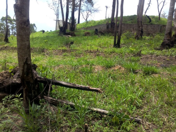 Imagem Terreno à Venda, 4.410 m² em Caete (Mailasqui) - São Roque Imagem Terreno à Venda, 4.410 m² em Caete (Mailasqui) - São Roque