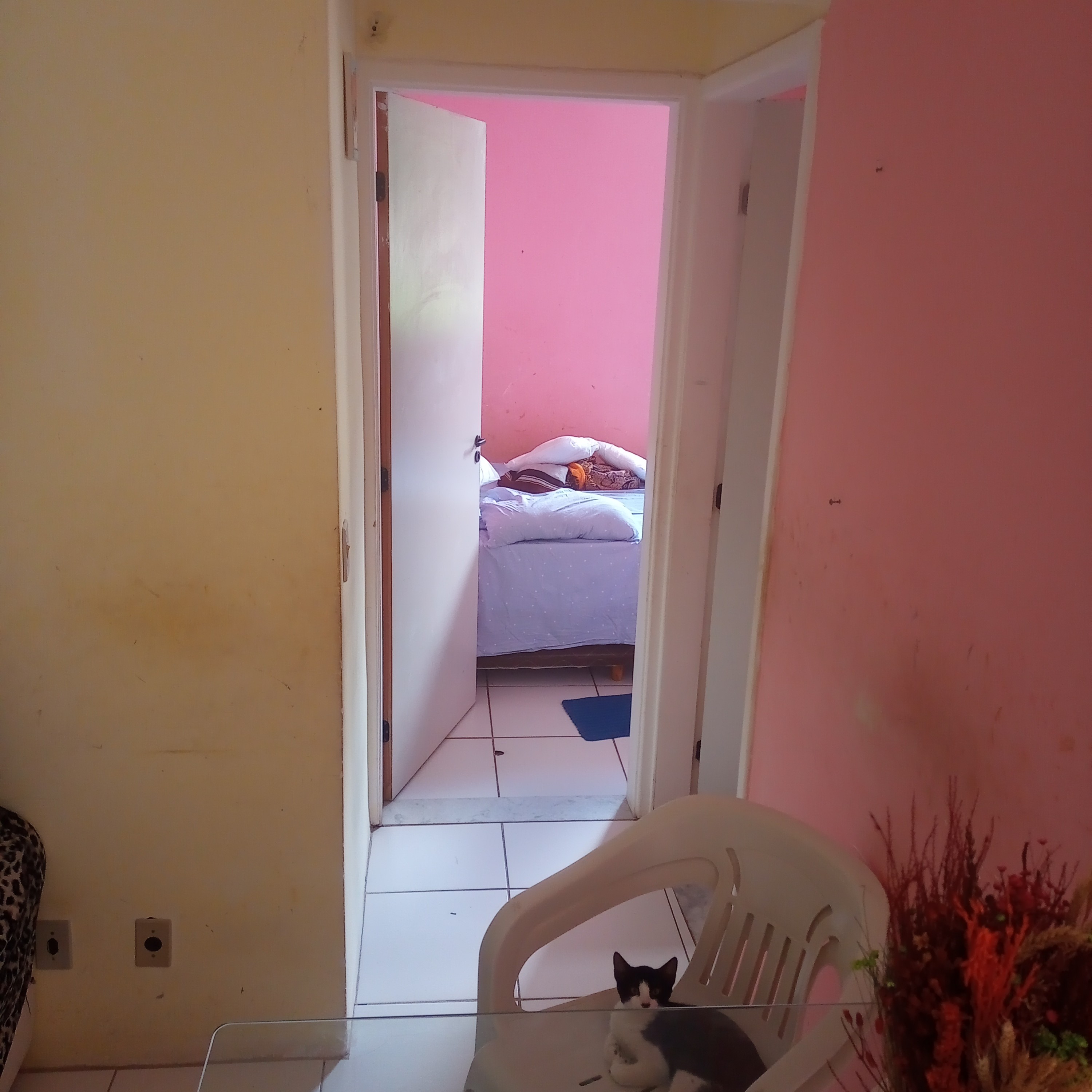 Imagem Apartamento com 2 Quartos à Venda, 51 m² em Jambeiro - Lauro de Freitas