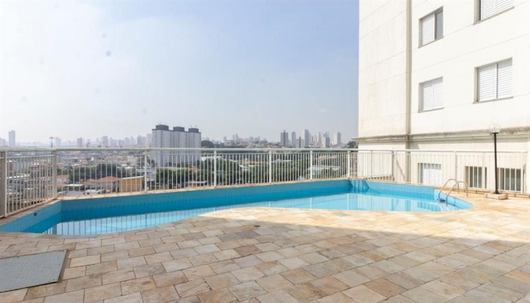 Imagem Apartamento com 2 Quartos para Alugar, 52 m² em Sítio do Mandaqui - São Paulo Imagem Apartamento com 2 Quartos para Alugar, 52 m² em Sítio do Mandaqui - São Paulo
