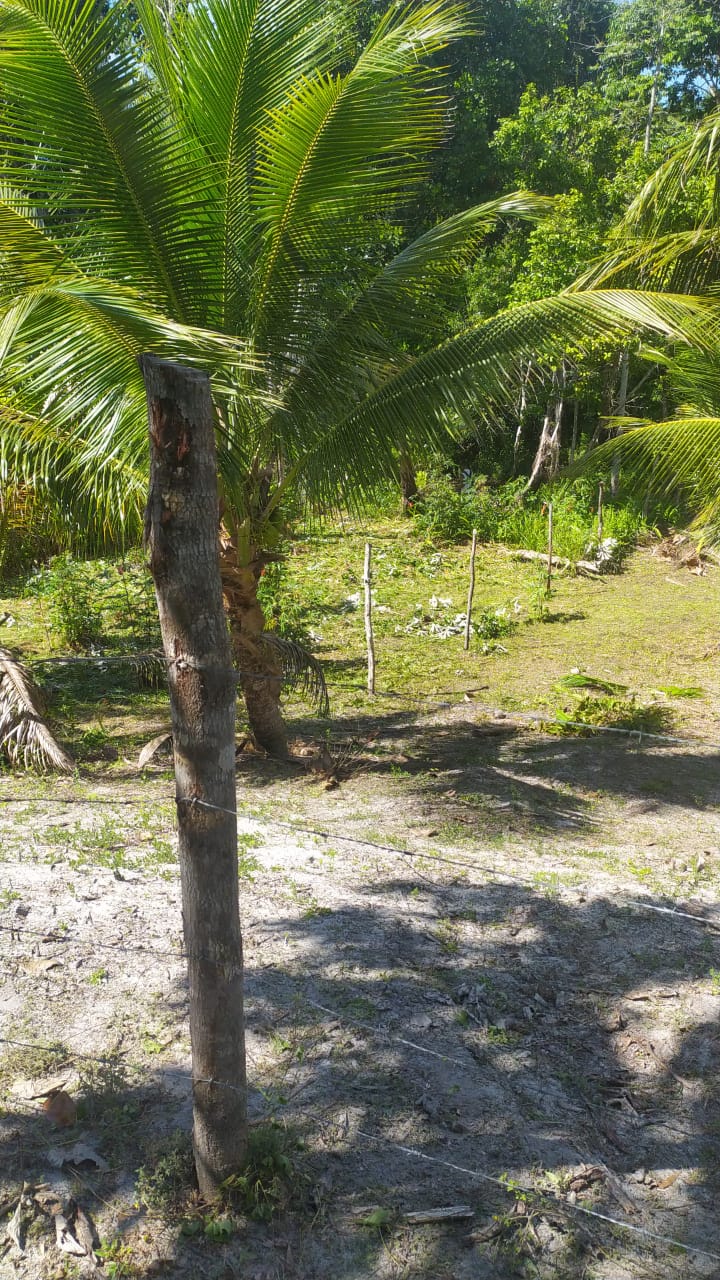 Imagem Terreno à Venda, 310 m²em Velha Boipeba - Cairu