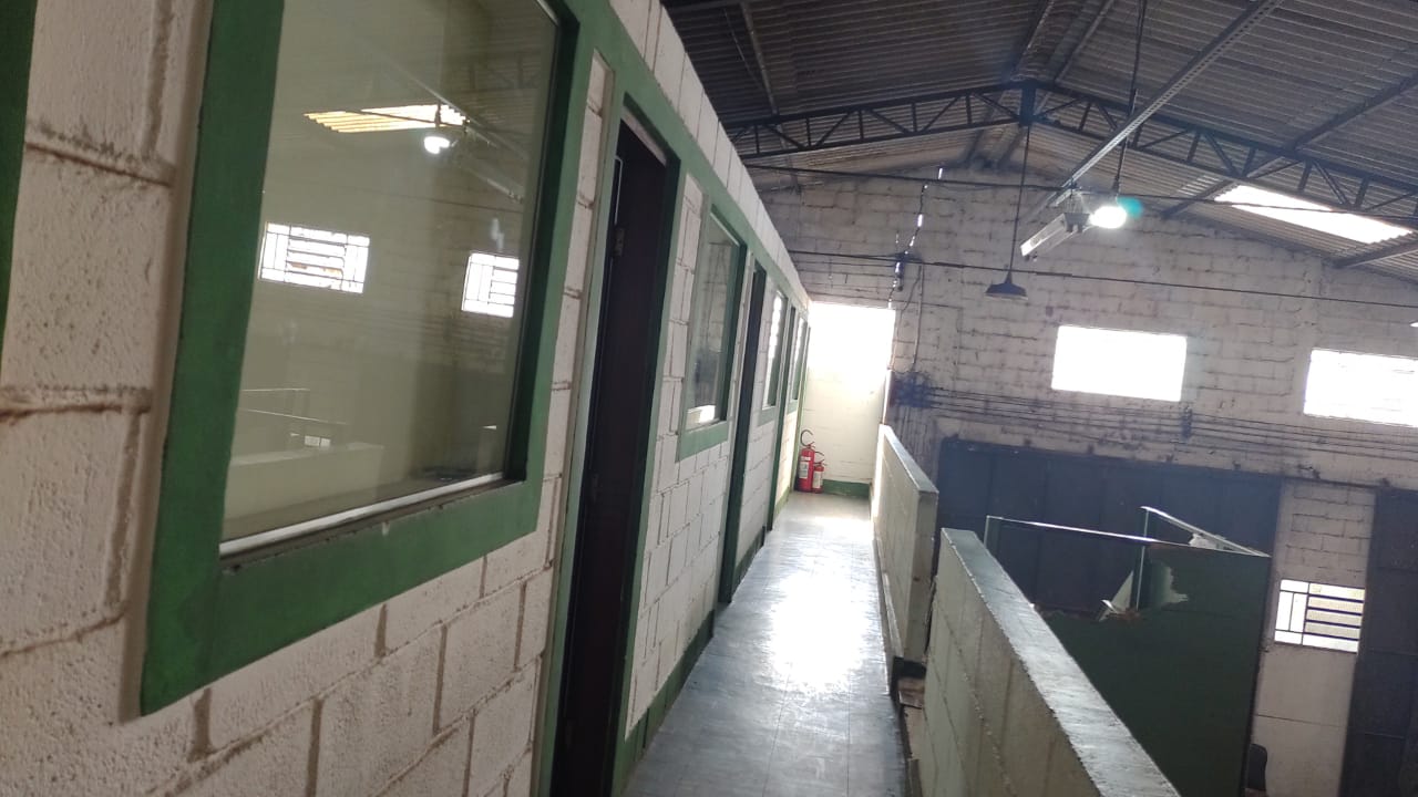Imagem Galpão à Venda, 800 m²em Chácara Ondas Verdes - Cotia