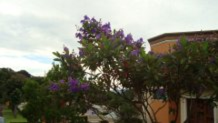 Imagem Sobrado com 4 Quartos à Venda, 418 m² em Condomínio Flamboyant-B - Atibaia Imagem Sobrado com 4 Quartos à Venda, 418 m² em Condomínio Flamboyant-B - Atibaia