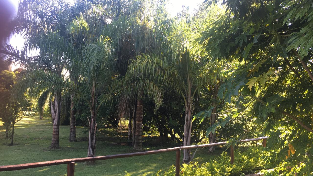 Imagem Terreno em Condomínio à Venda, 725 m² em Condomínio Reserva da Serra - Jundiaí