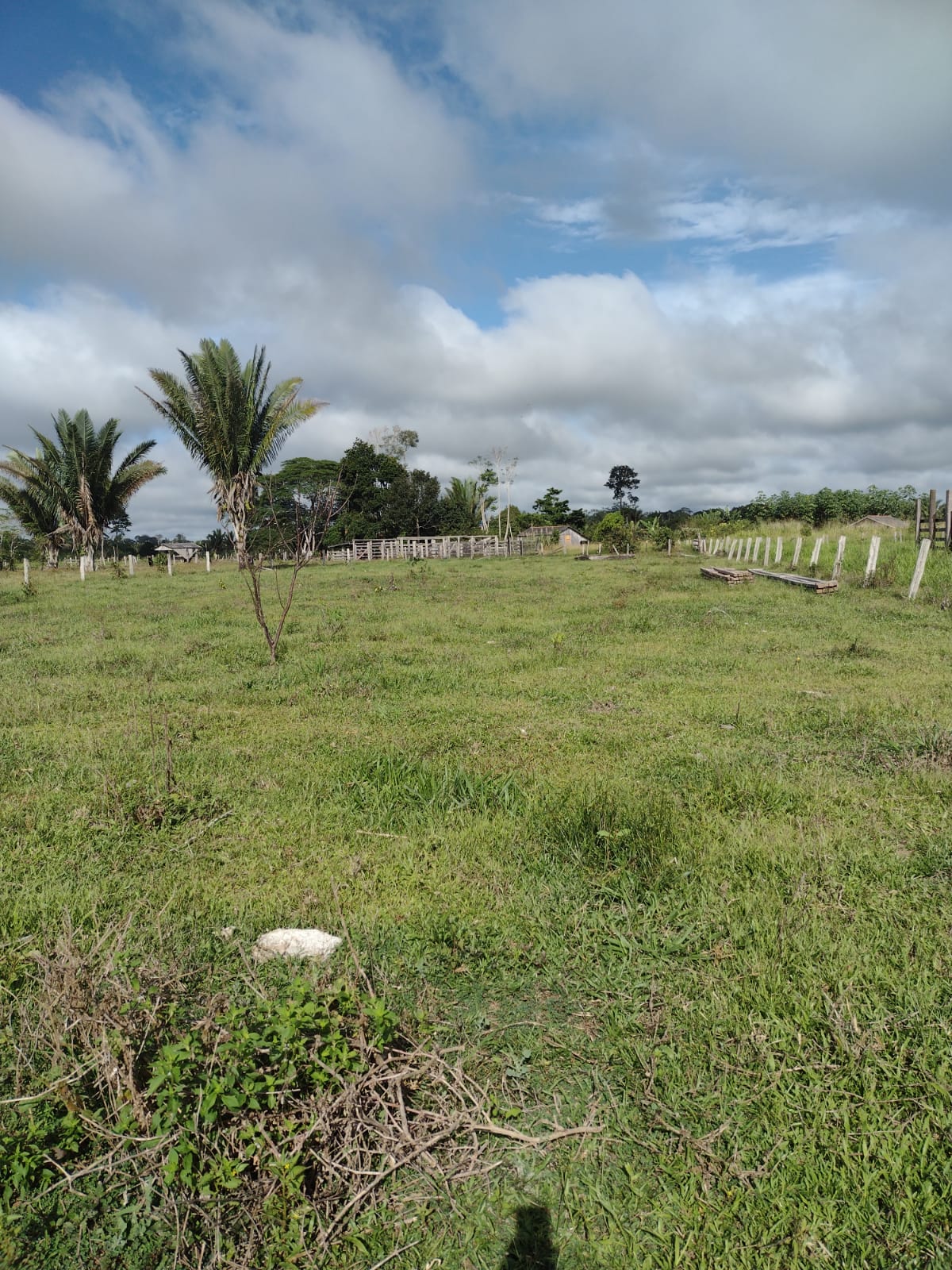 Imagem Fazenda à Venda, 29 HAem Zona Rural - Candeias do Jamari Imagem Fazenda à Venda, 29 HAem Zona Rural - Candeias do Jamari