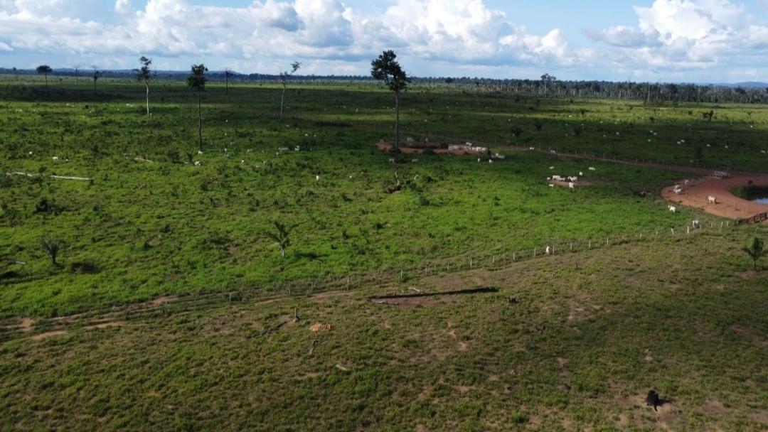 Imagem Fazenda à Venda, 430 m² em Centro  - São Félix do Xingu