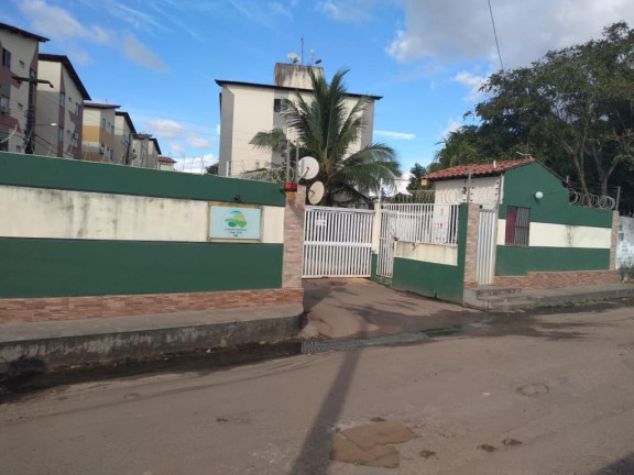 Imagem Apartamento com 2 Quartos para Alugar, 46 m² em Turu - São Luís Imagem Apartamento com 2 Quartos para Alugar, 46 m² em Turu - São Luís