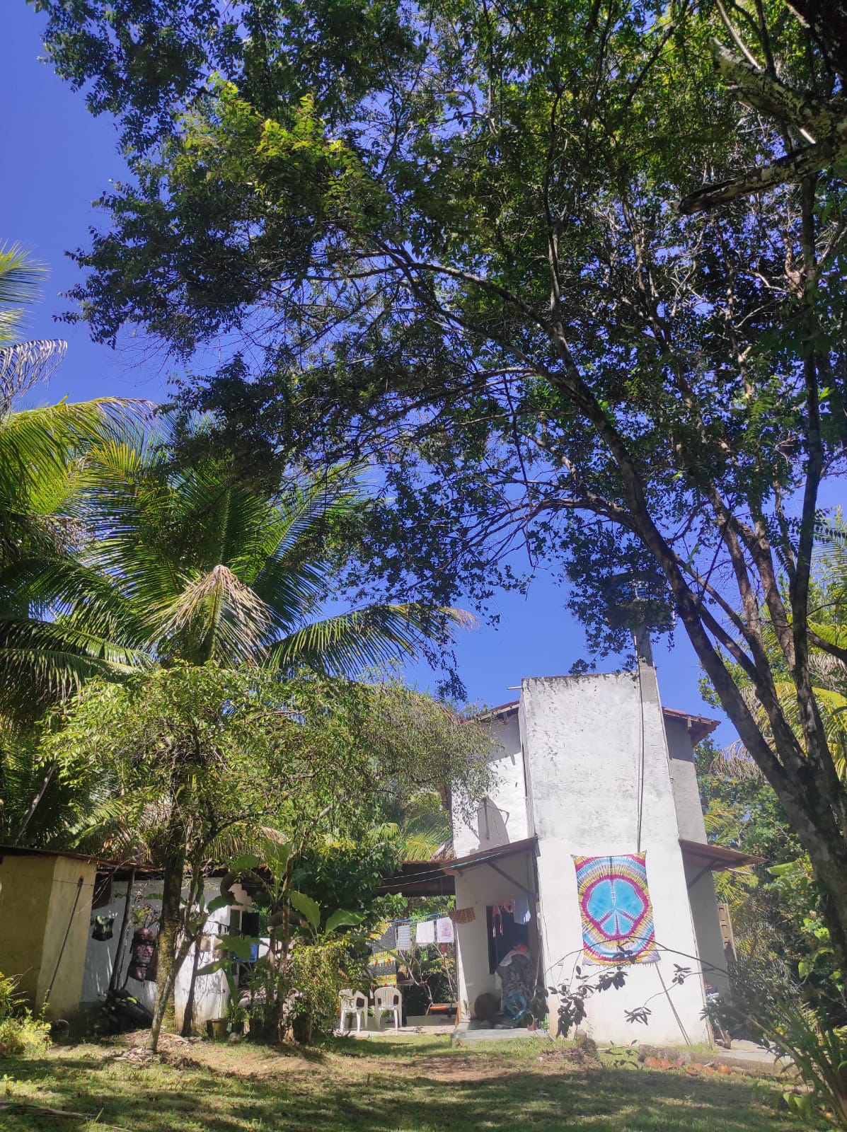 Imagem Chácara com 2 Quartos à Venda, 80 m²em Velha Boipeba - Cairu