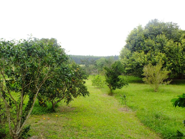 Imagem Chácara com 2 Quartos à Venda, 2.800 m² em Araruama Imagem Chácara com 2 Quartos à Venda, 2.800 m² em Araruama