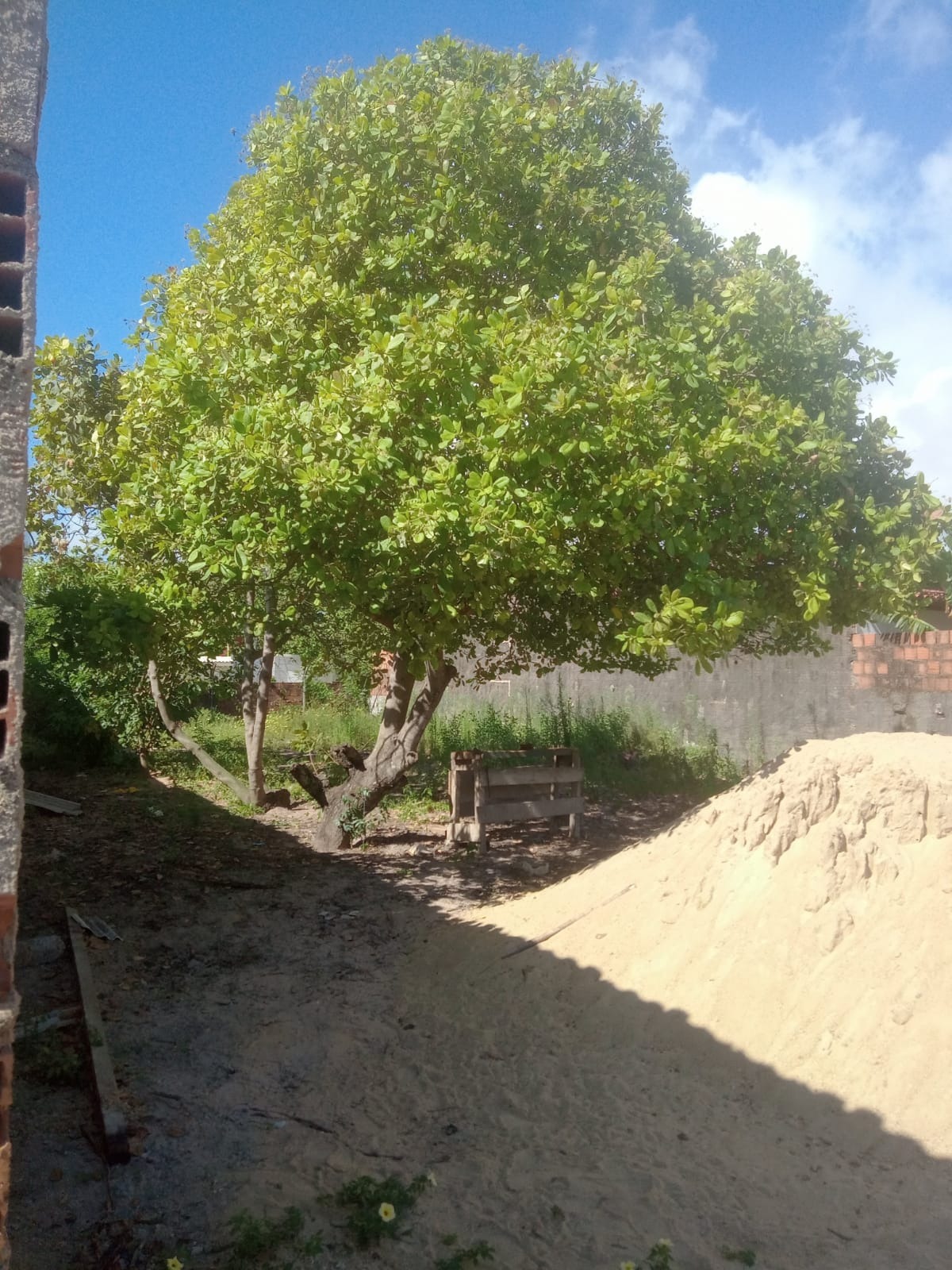 Imagem Terreno à Venda, 516 m² em - São José da Coroa Grande Imagem Terreno à Venda, 516 m² em - São José da Coroa Grande
