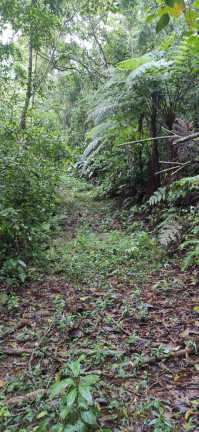 Imagem Terreno à Venda,  em Santaninha - Pedras Grandes