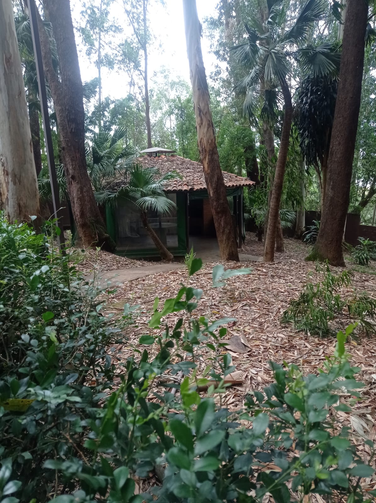Imagem Apartamento com 3 Quartos à Venda, 76 m²em Jardim Bontempo - Taboão da Serra