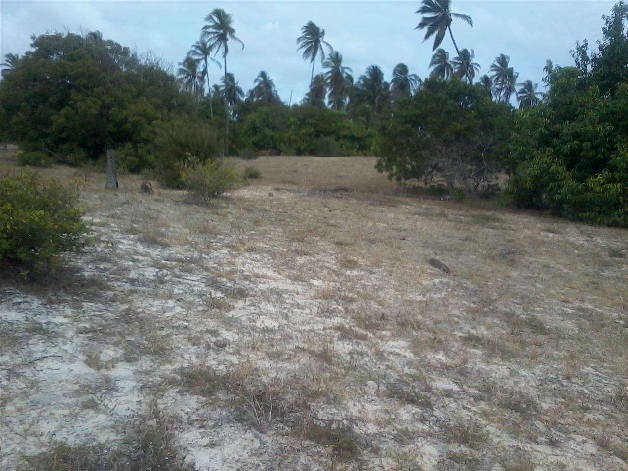 Imagem Terreno à Venda, 168.640 metro em Praia de Pititinga - Rio do Fogo