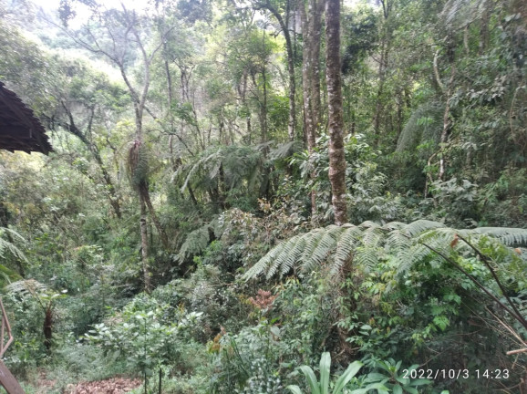 Imagem Terreno à Venda, 1.052 m² em Colinas do Imbiri - Campos do Jordão
