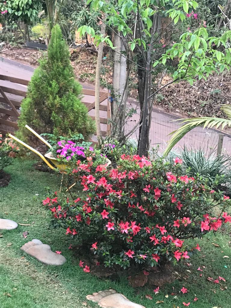 Imagem Casa com 4 Quartos à Venda, 1 m²em Recanto da Aldeia - Brumadinho Imagem Casa com 4 Quartos à Venda, 1 m²em Recanto da Aldeia - Brumadinho