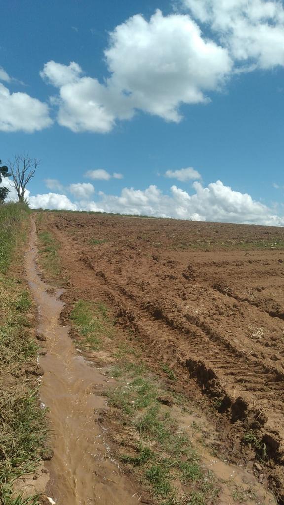 Imagem Fazenda à Venda, 6 Alq. SP em Valadão - Piedade
