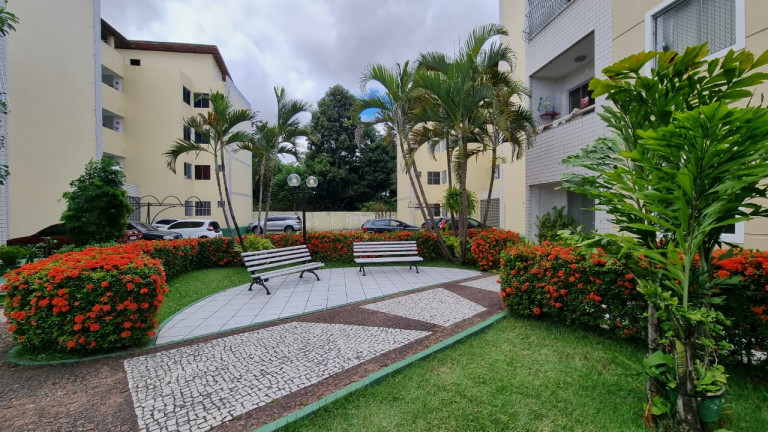 Imagem Apartamento com 3 Quartos à Venda, 55 m² em Jardim Cearense - Fortaleza