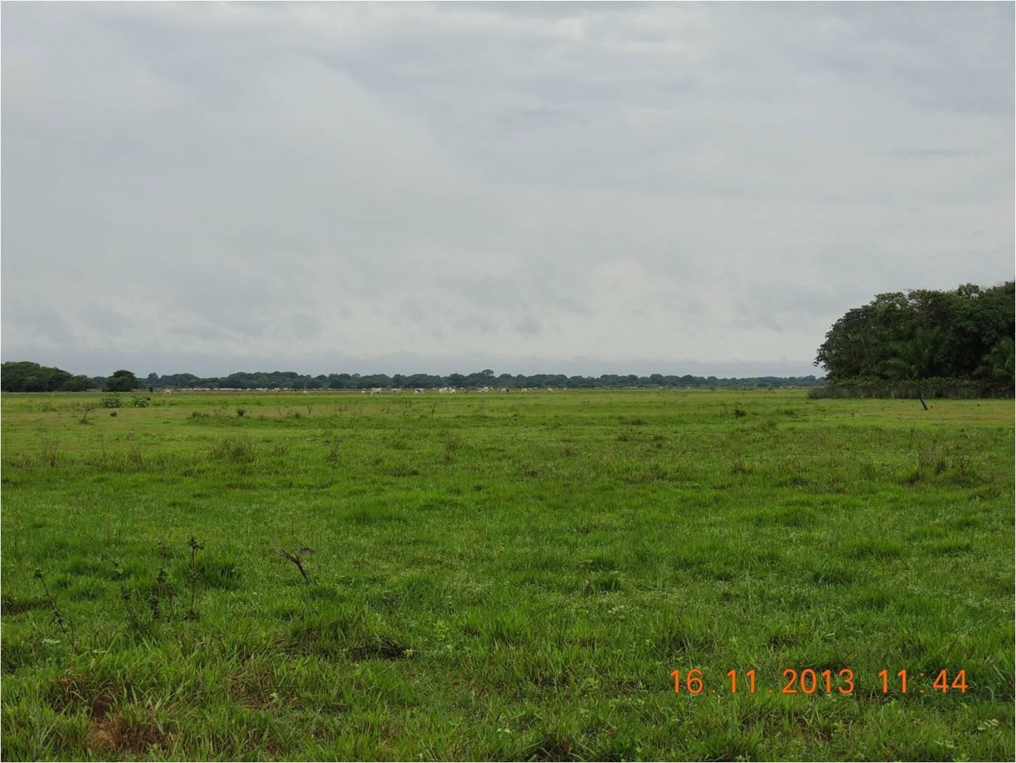 Imagem Fazenda à Venda, 23 HAem Zona Rural - Aquidauana Imagem Fazenda à Venda, 23 HAem Zona Rural - Aquidauana