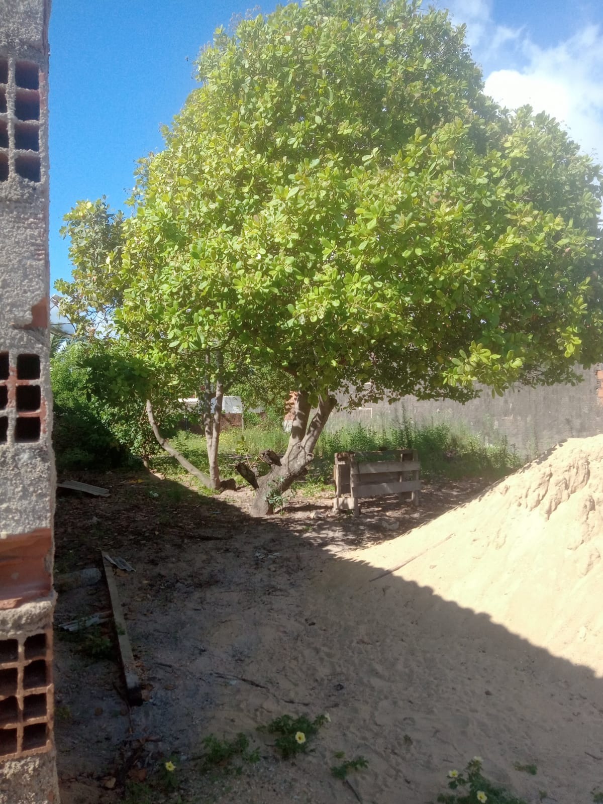 Imagem Terreno à Venda, 516 m² em - São José da Coroa Grande Imagem Terreno à Venda, 516 m² em - São José da Coroa Grande