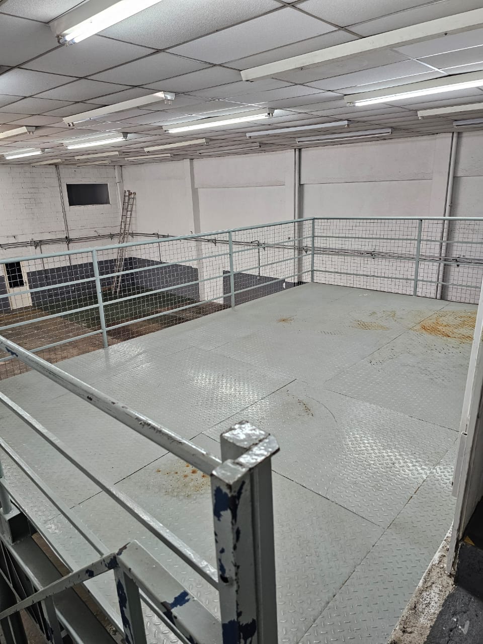 Imagem Galpão para Alugar, 600 m² em Vila Anastácio - São Paulo