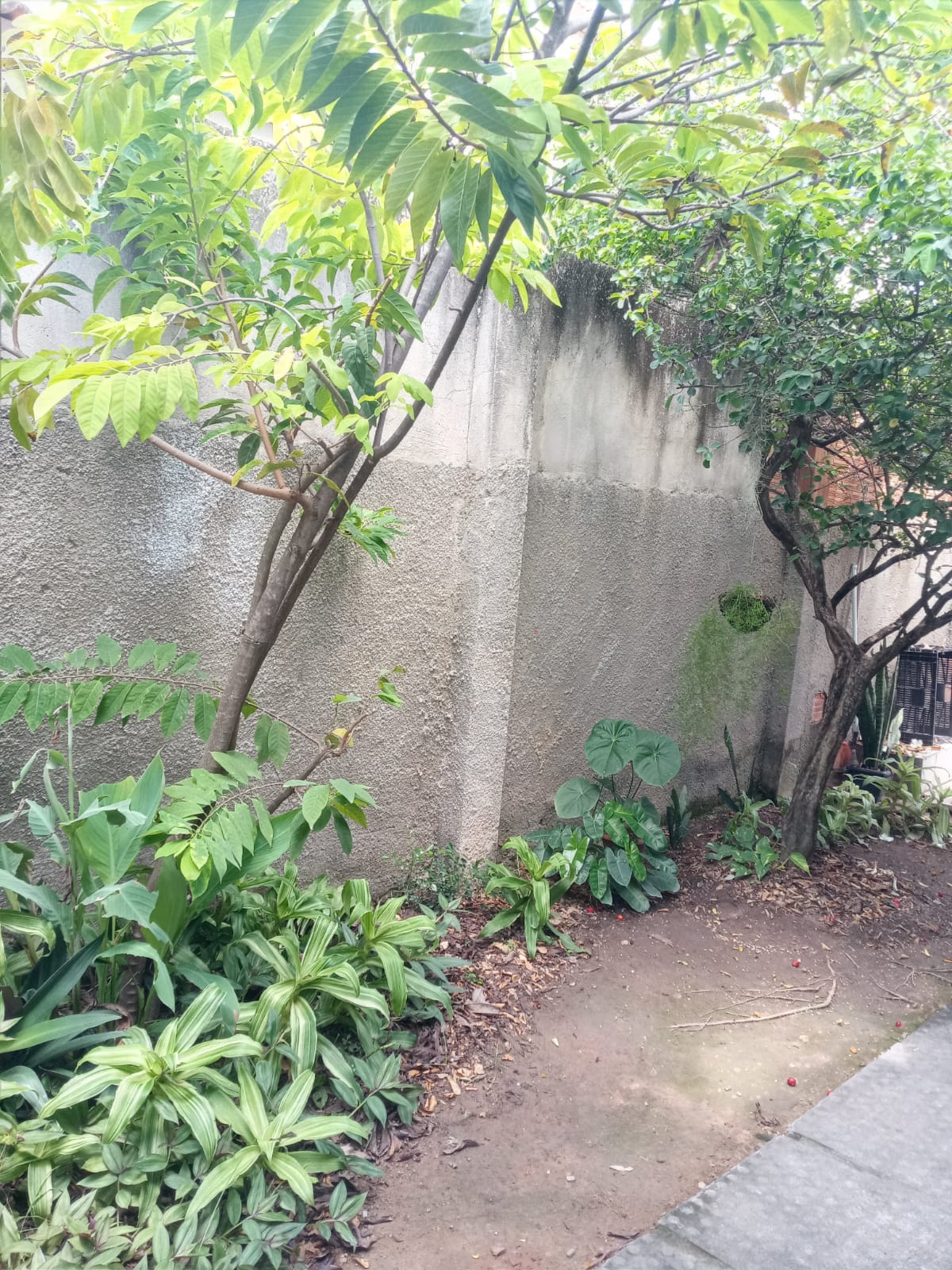 Imagem Casa com 2 Quartos à Venda, 46 m²em Pau Amarelo - Paulista