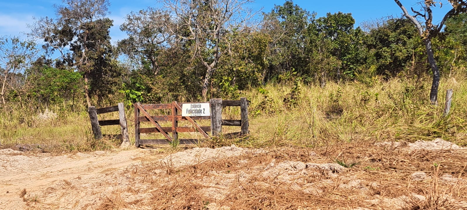 Imagem Fazenda à Venda, 25 Alq GOem Zona Rural - Araguaiana