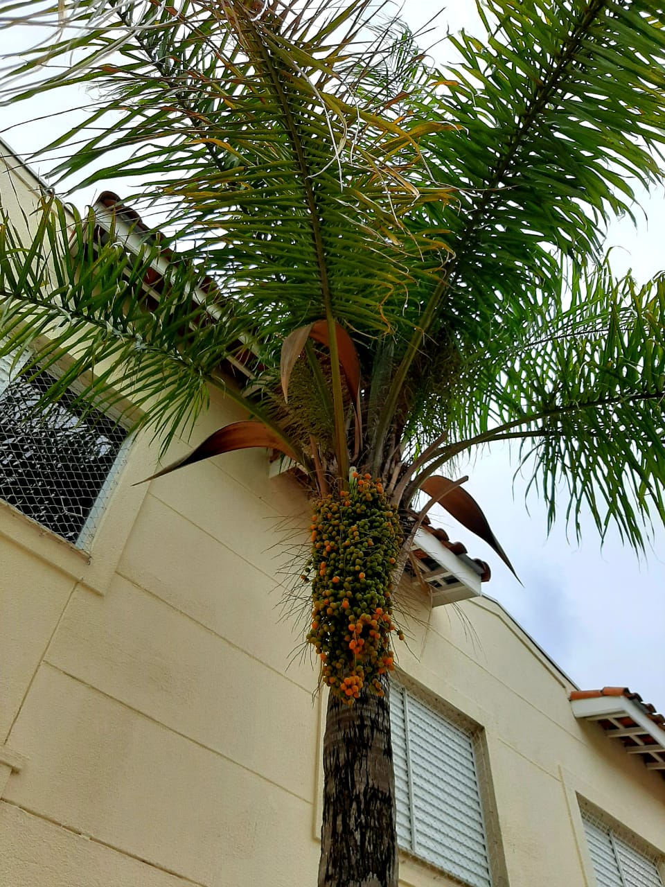 Imagem Casa de Condomínio com 2 Quartos à Venda, 80 m²em Parque Centenário - Jundiaí Imagem Casa de Condomínio com 2 Quartos à Venda, 80 m²em Parque Centenário - Jundiaí