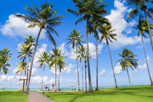 Imagem Casa de Condomínio com 3 Quartos à Venda, 137 m² em Praia dos Carneiros - Tamandaré