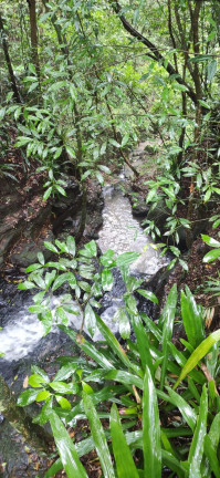 Imagem Terreno à Venda,  em Santaninha - Pedras Grandes