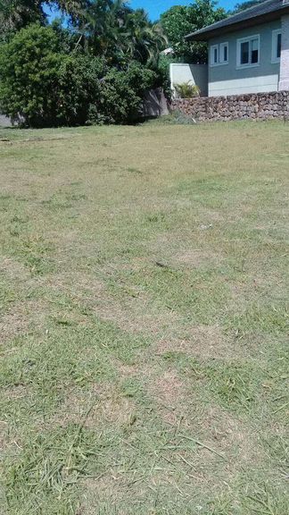 Imagem Terreno à Venda, 900 m² em Rio Tavares - Florianópolis Imagem Terreno à Venda, 900 m² em Rio Tavares - Florianópolis