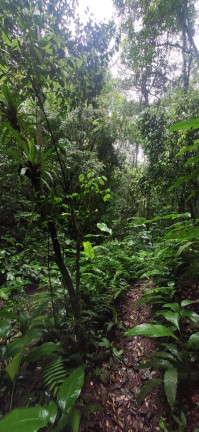 Imagem Terreno à Venda,  em Santaninha - Pedras Grandes