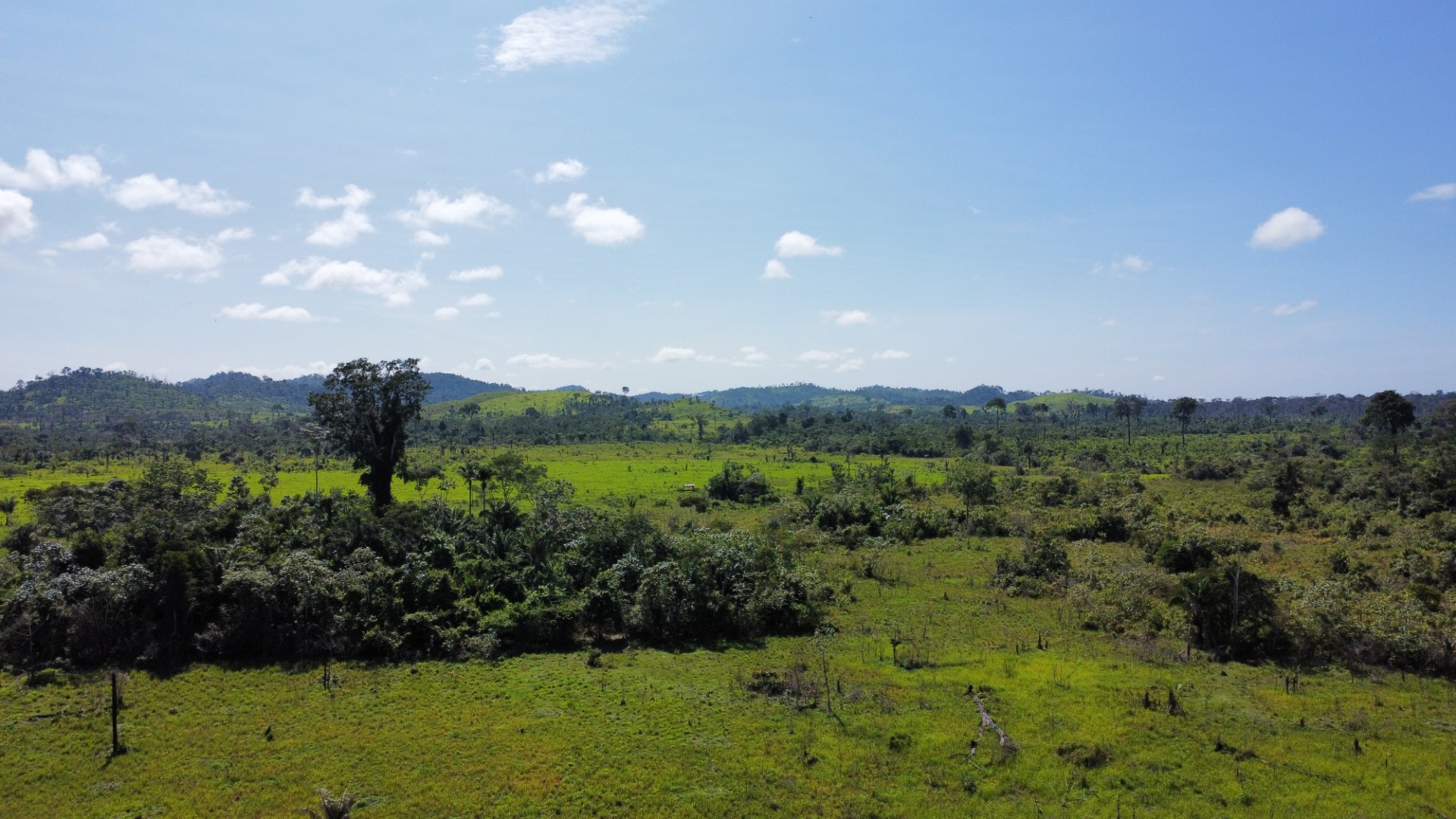 Imagem Fazenda à Venda, 900 Alq MGem Centro - São Félix do Xingu Imagem Fazenda à Venda, 900 Alq MGem Centro - São Félix do Xingu