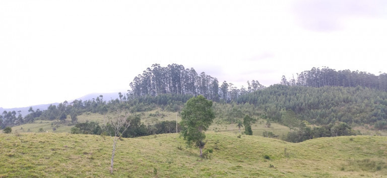 Imagem Fazenda à Venda, 34 HAem Brusque do Sul - Orleans