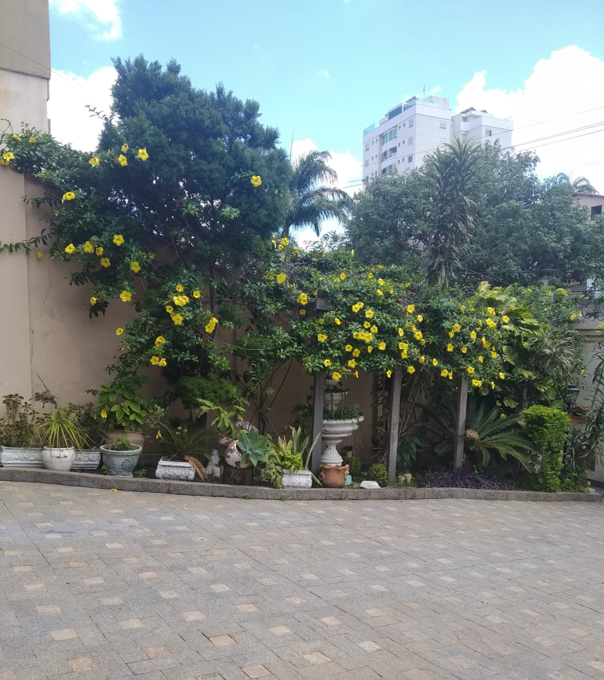 Imagem Casa com 5 Quartos à Venda, 370 m²em Ouro Preto - Belo Horizonte