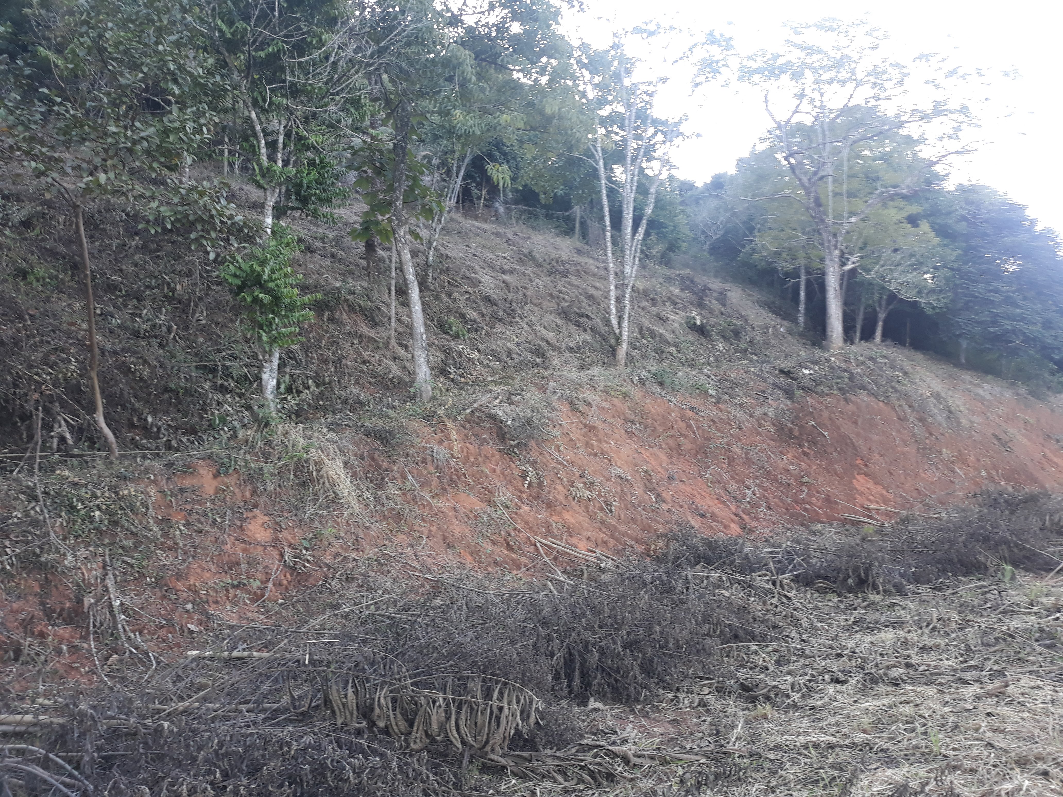 Imagem Terreno à Venda, em Humaitá - Juiz de Fora Imagem Terreno à Venda, em Humaitá - Juiz de Fora