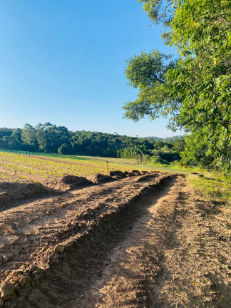 Imagem Terreno em Condomínio à Venda, 1.000 m² em Verava - Ibiúna Imagem Terreno em Condomínio à Venda, 1.000 m² em Verava - Ibiúna