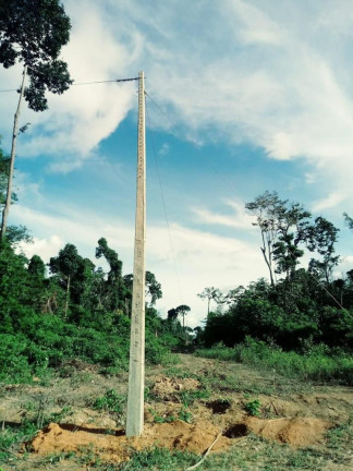 Imagem Fazenda à Venda, 837 HA em Área Rural de Santarém - Santarém Imagem Fazenda à Venda, 837 HA em Área Rural de Santarém - Santarém